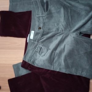 Ann Taylor Loft cord pants bundle